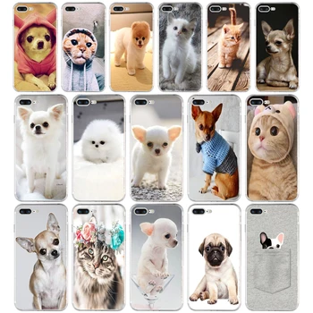 008FG Chihuahua Kutya, Kiskutya, Puha TPU Szilikon tok Apple iPhone5 5s se 6 6 7 8 plusz x xr xs max