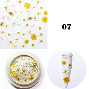 8 típusú Köröm Szárított Virágok Fa Cellulóz Lap Vegyes Köröm Ékszer Javítás 3d Nail Art Dekoráció Köröm Kiegészítők