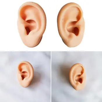 Szilikon Fül Modell Mesterséges Emberi Fület Kijelző Meghallgatása Fülhallgatón Gyakorlat Piercing Shop Ablak, Amely A Test Ékszer