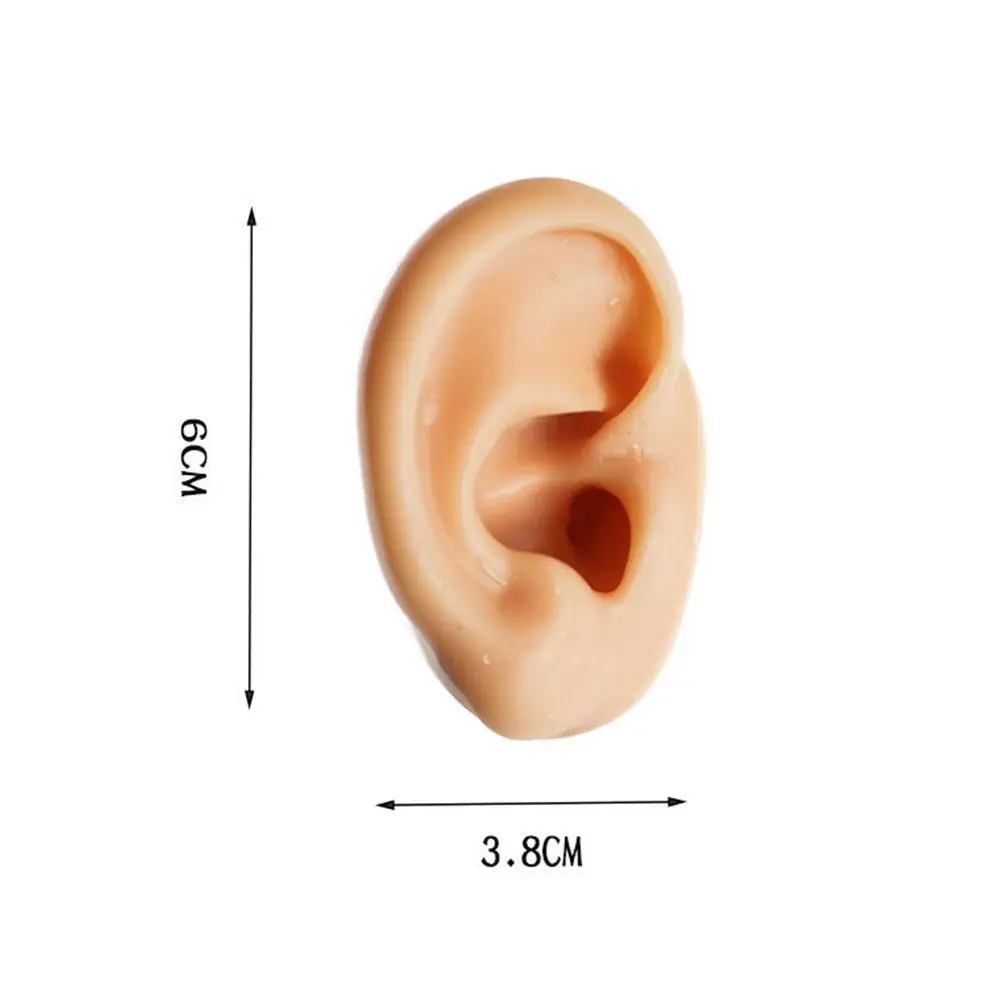 Kép /_images_/Szilikon-fül-modell-mesterséges-emberi-fület-kijelző/6_916.jpeg